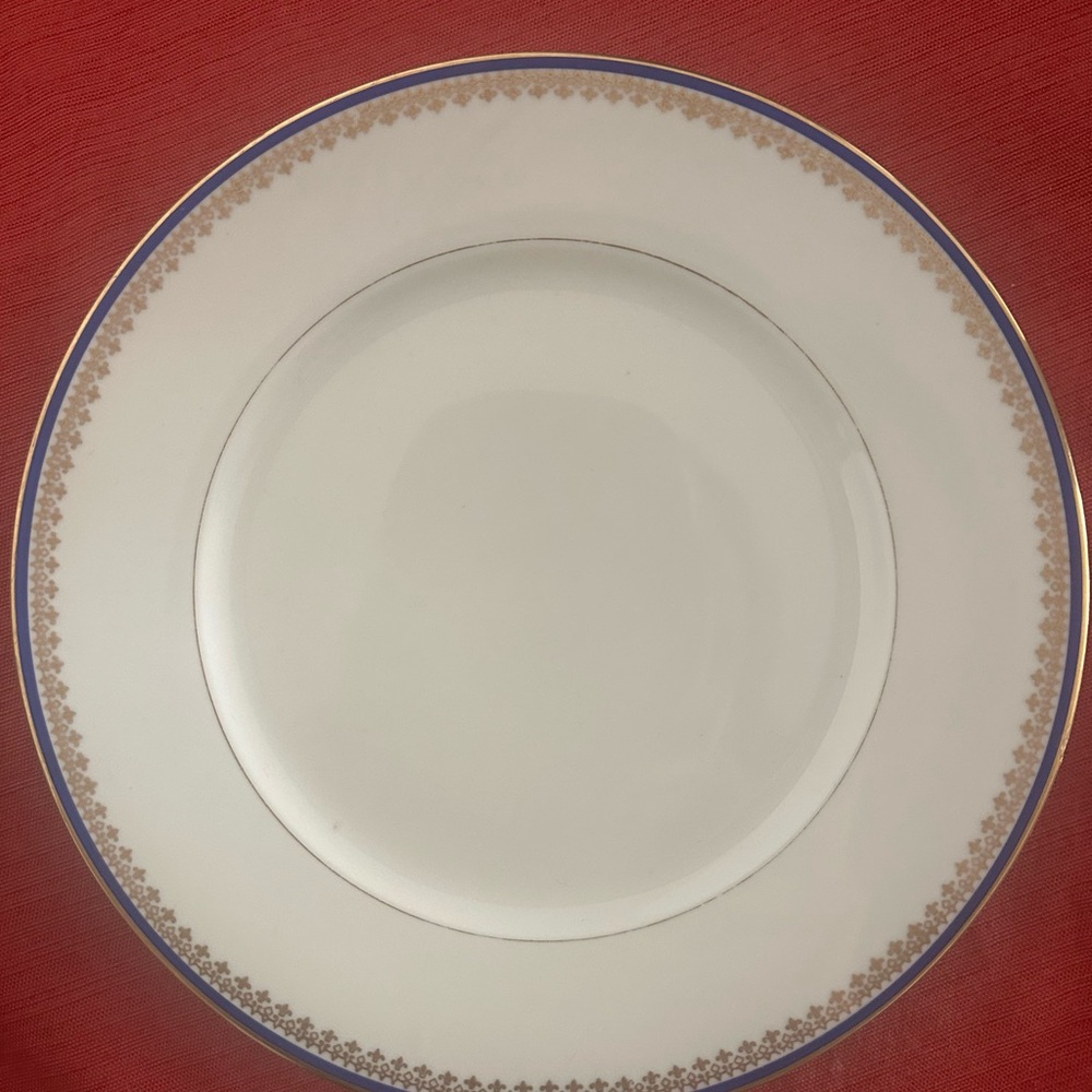 Vintage Schlaggenwald “Vienna” Porcelain Dinner Plates,Czechoslovakia, Set of 12